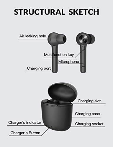 Panther Ear Pods