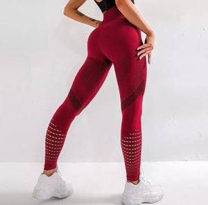 Women’s High Waisted Tights